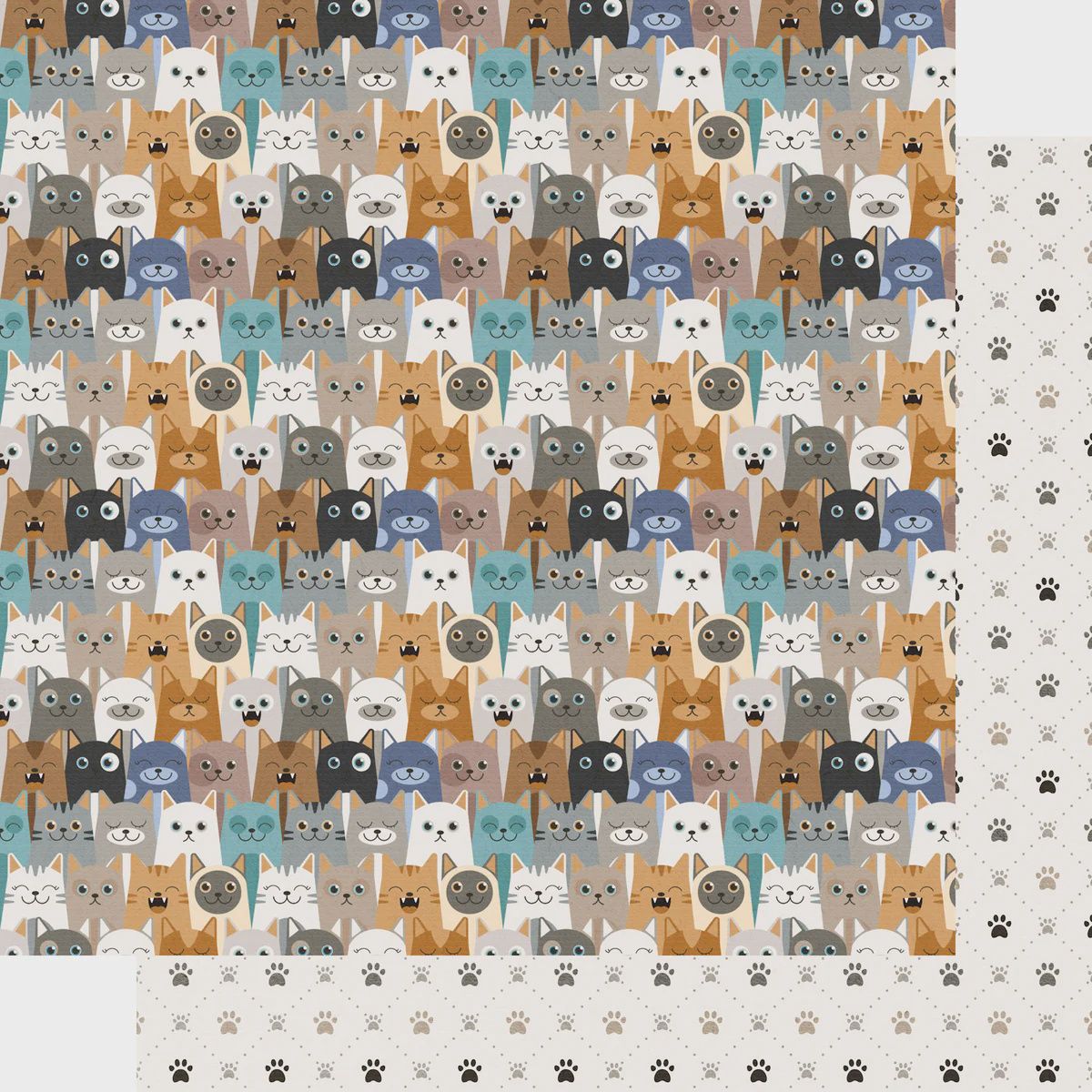 Cat Lover Collection Playful Purrs 12 x 12 DS Paper