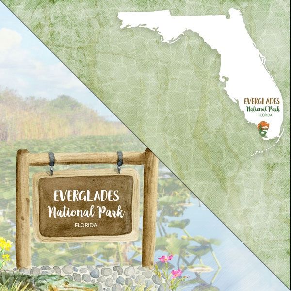 Everglades National Park Watercolor 12 x 12 DS Paper