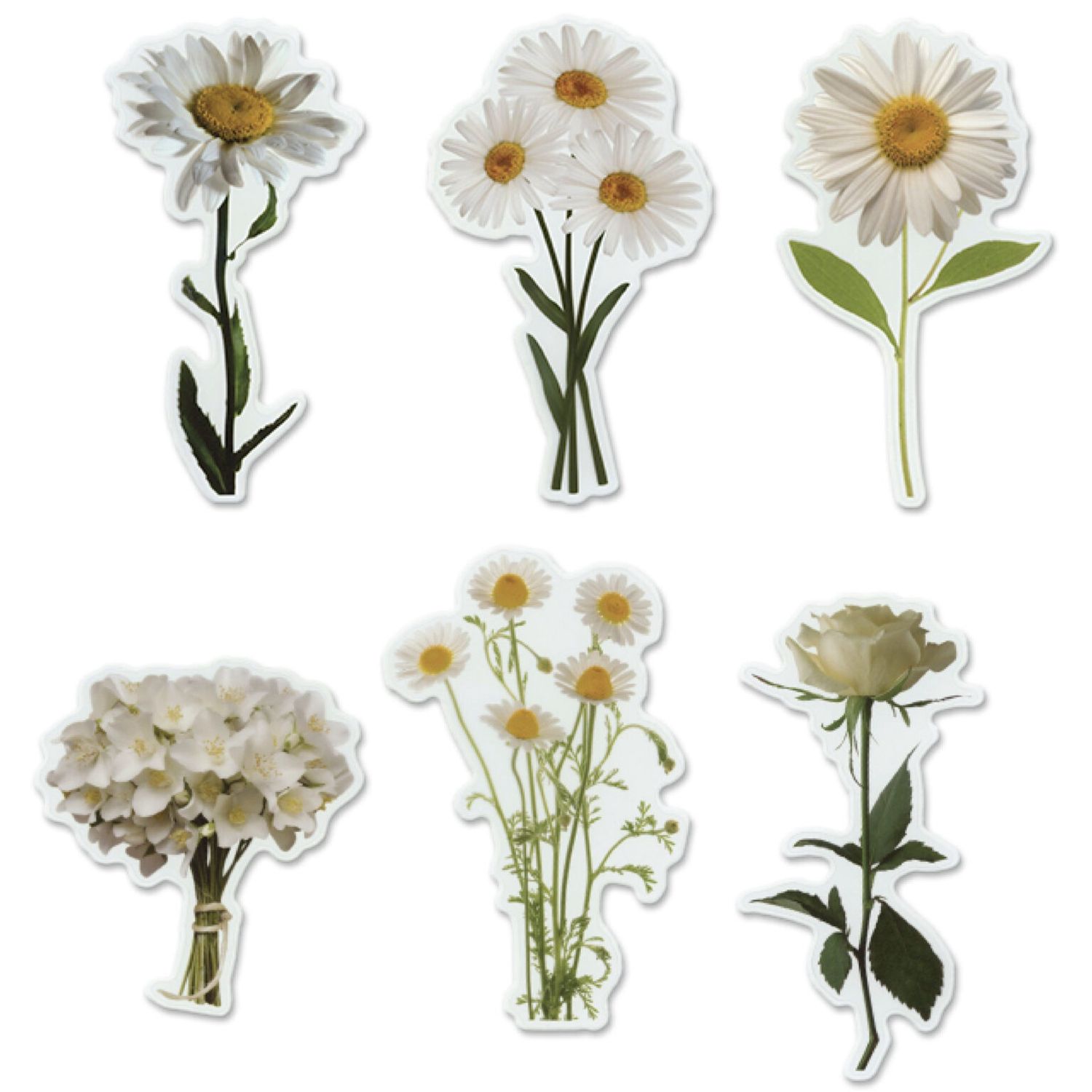MultiCraft – Forever in Time – Floral Flair Die Cuts – Pure