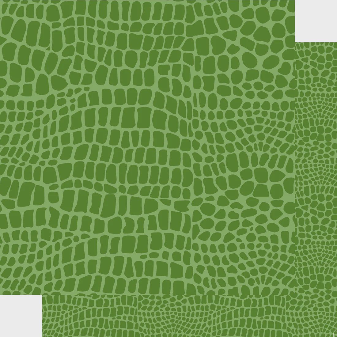 Animal Safari Collection Reptile Scales 12 x 12 Double-Sided Scrapbook Paper