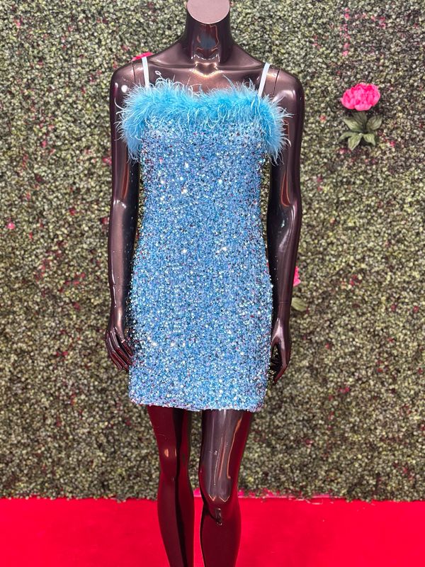 Baby Blue Glitter Feather Top Short Gown