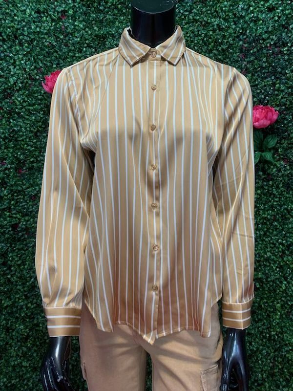 Brown and White Long Sleeve Stripes