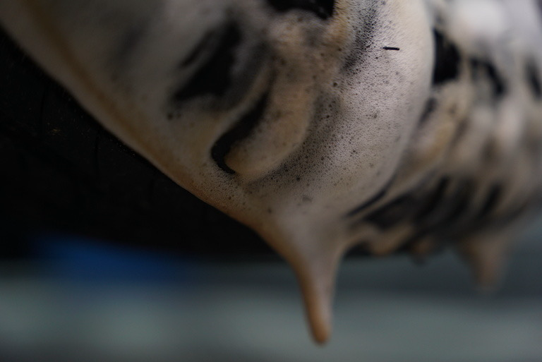 DELET – High-Performance Tire & Rubber Cleaner