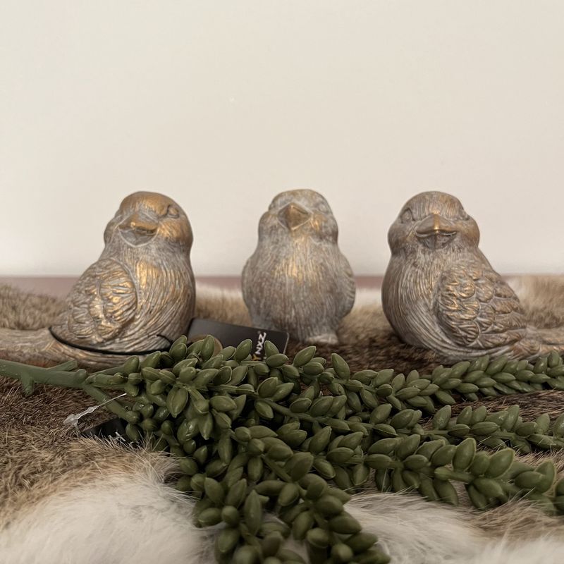 Birds Jewel Brynxz (Rechts) D11x H10