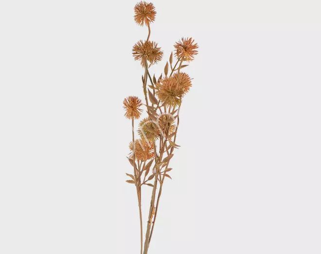 Bloem little dandelion oranje