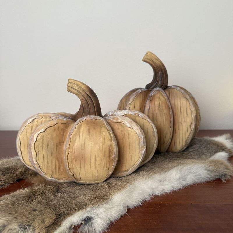 Pompoen Ravi M bruin