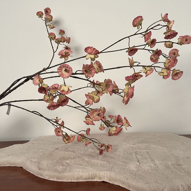 Cornus Gesneden Grande Roze