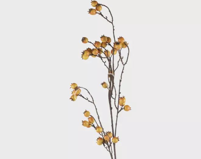 Tak fruit light oranje