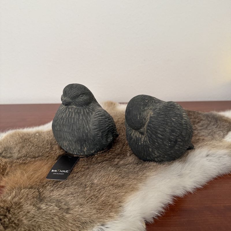 Brynxz set van 2 birds Relief
