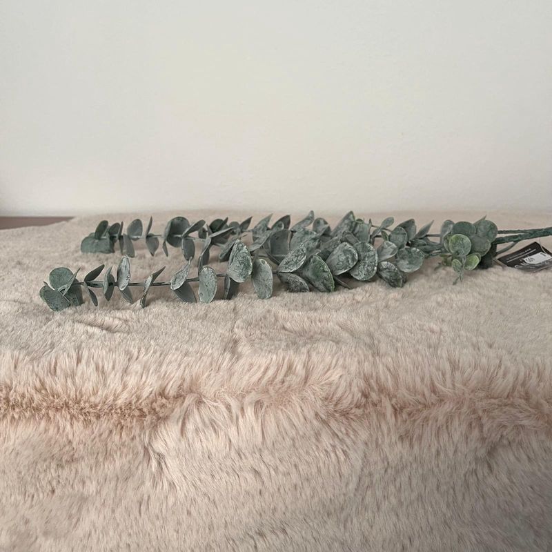 Eucalyptus tak groen