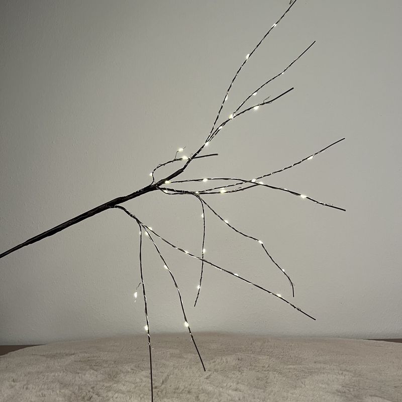 Countryfield - Prachtige Led tak - warm wit licht - 40 ledlichtjes - 80 cm - Kerstlichtjes - Kerstverlichting - Ledlampjes