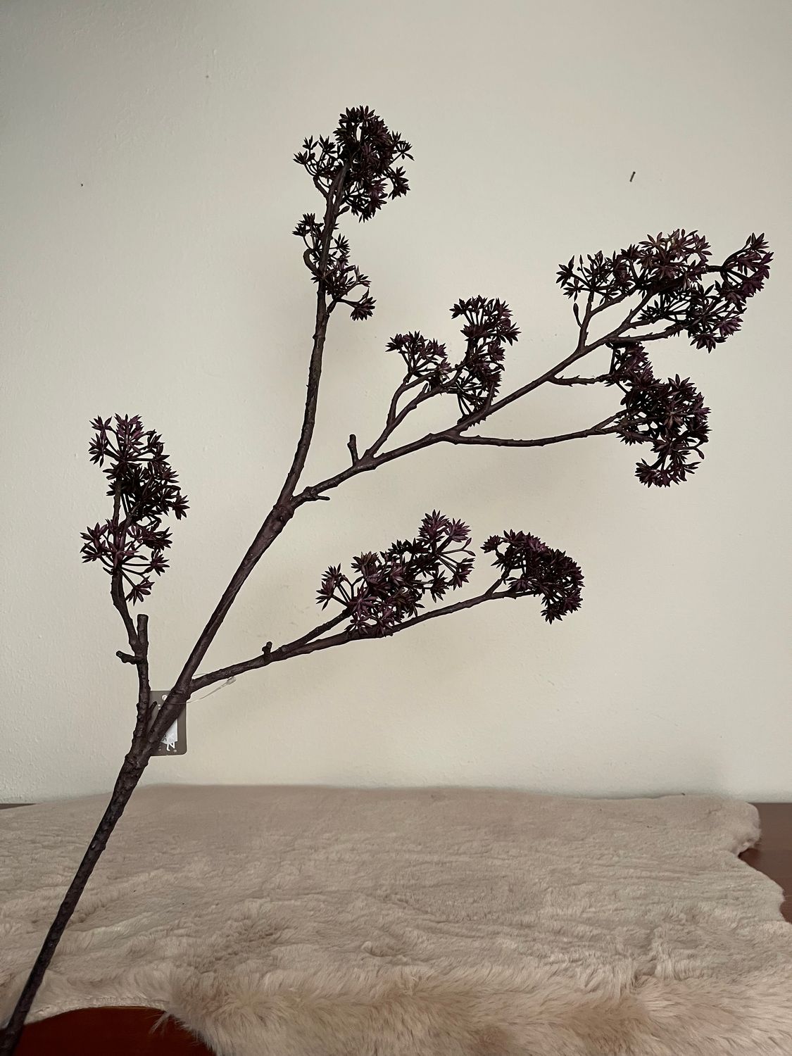 Tak Limone Stem Grande Purple