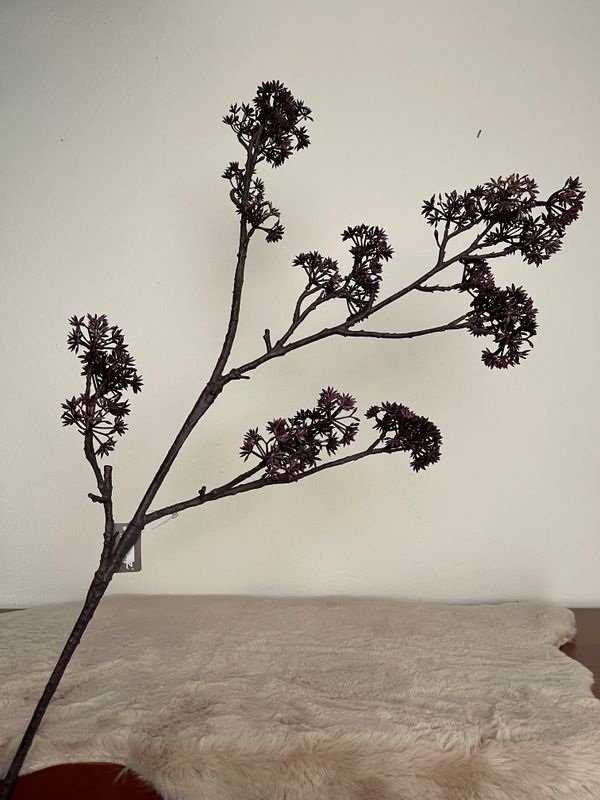 Tak Limone Stem Grande Purple