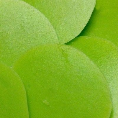 Sweet! Candy Coating (Lime Green) 1 lb.