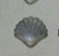 Shell Mint Mold