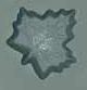 Maple Leaf Mint Mold