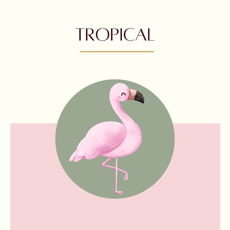 Tropical