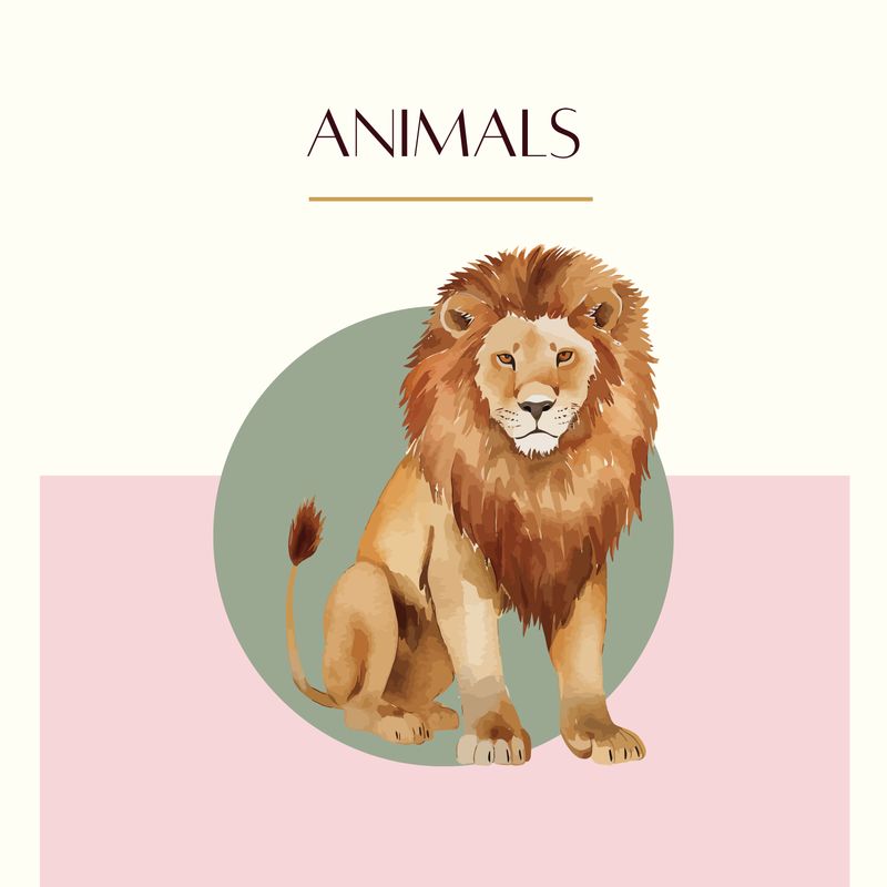Animals 