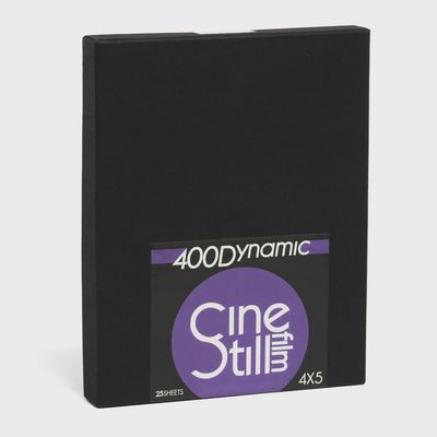 400Dynamic Versatile Color Negative Film, 4x5