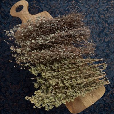 Herbes Sauvages Séchées