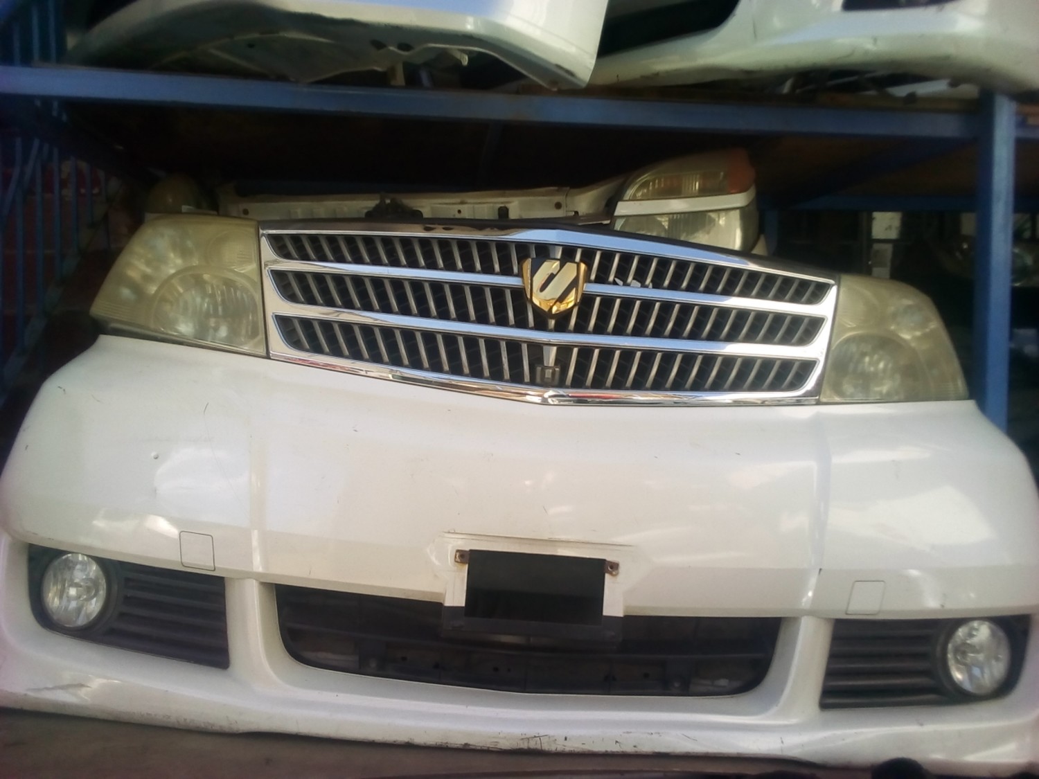 Toyota Alfred Nose Cut Toyota Alfred Nose Cut