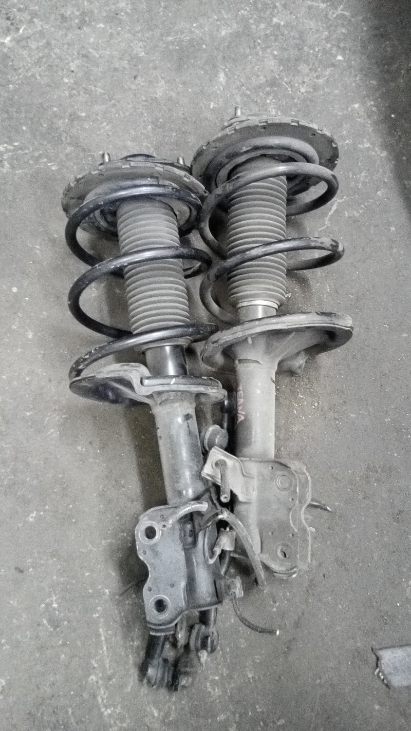 Nissan teana front shocks