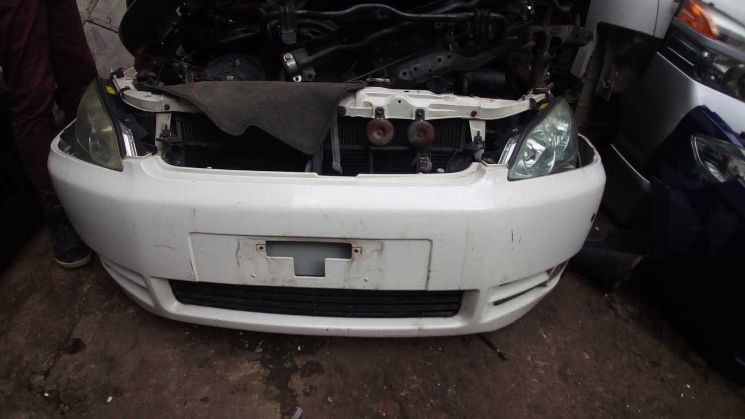 Toyota ipsum nose cut