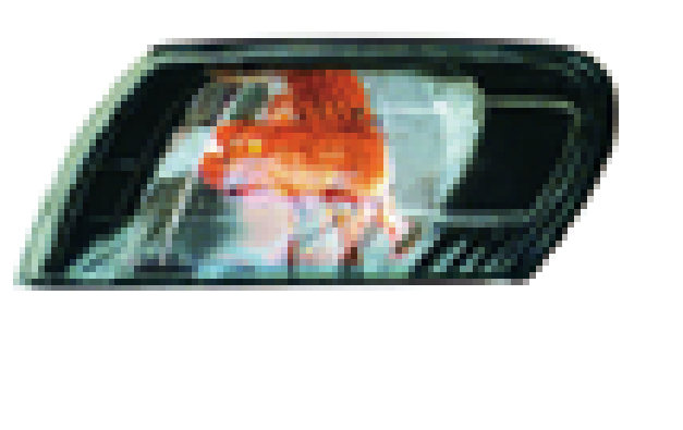 Toyota Corolla Corner Lamp New