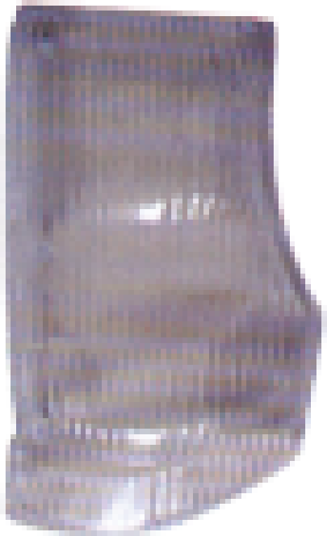 NPR.BHR.NKR Corner Light New