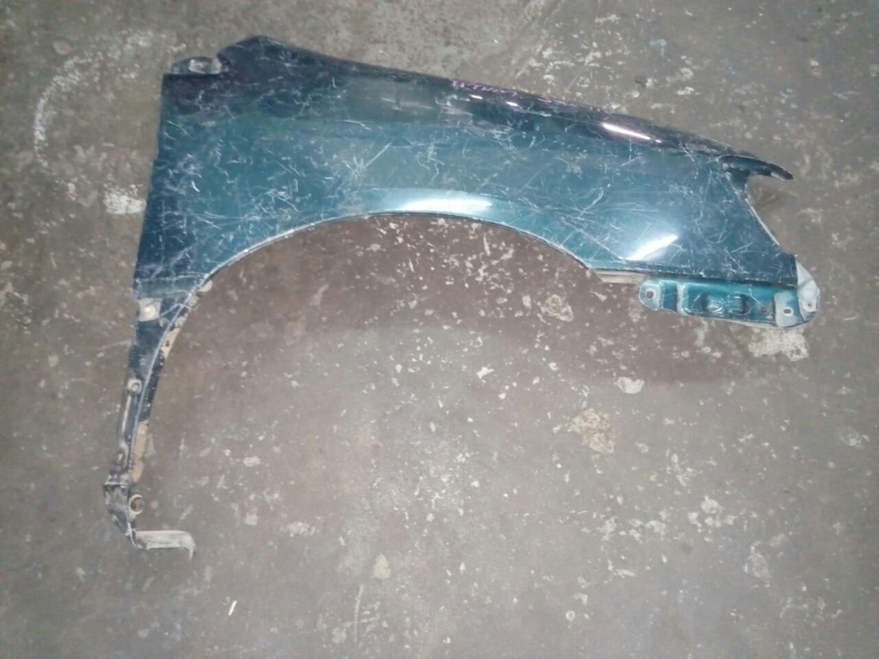 Toyota ipsum wing