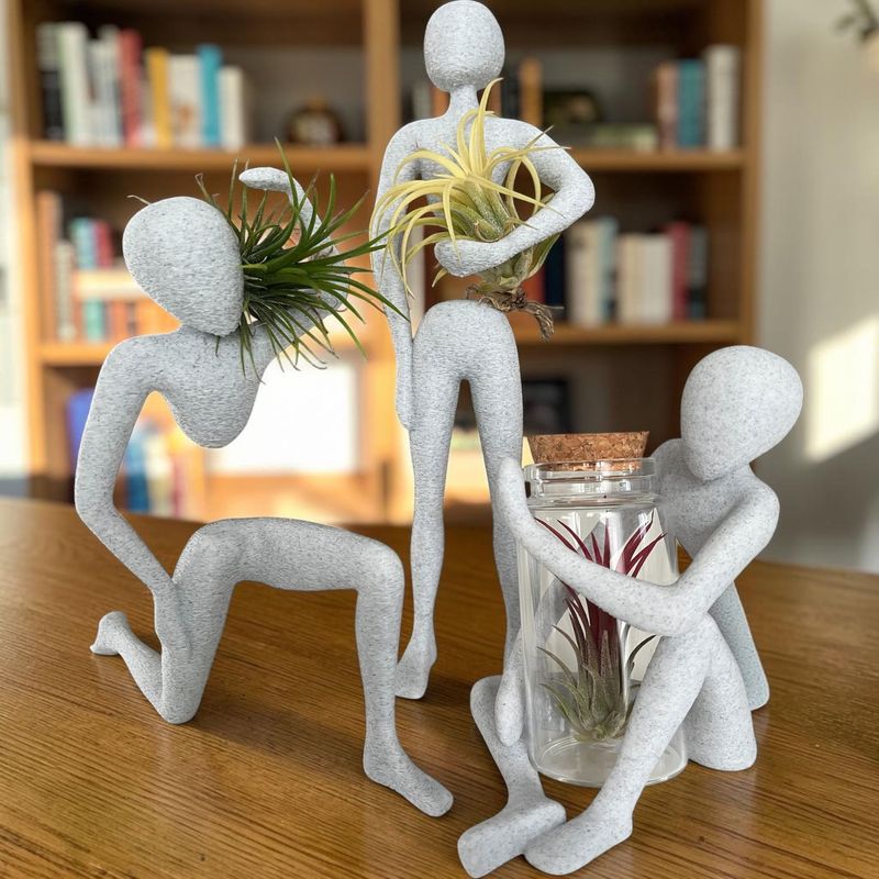 NOBODY LIVING COLLECTION