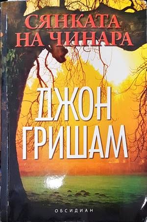 Сянката на чинара