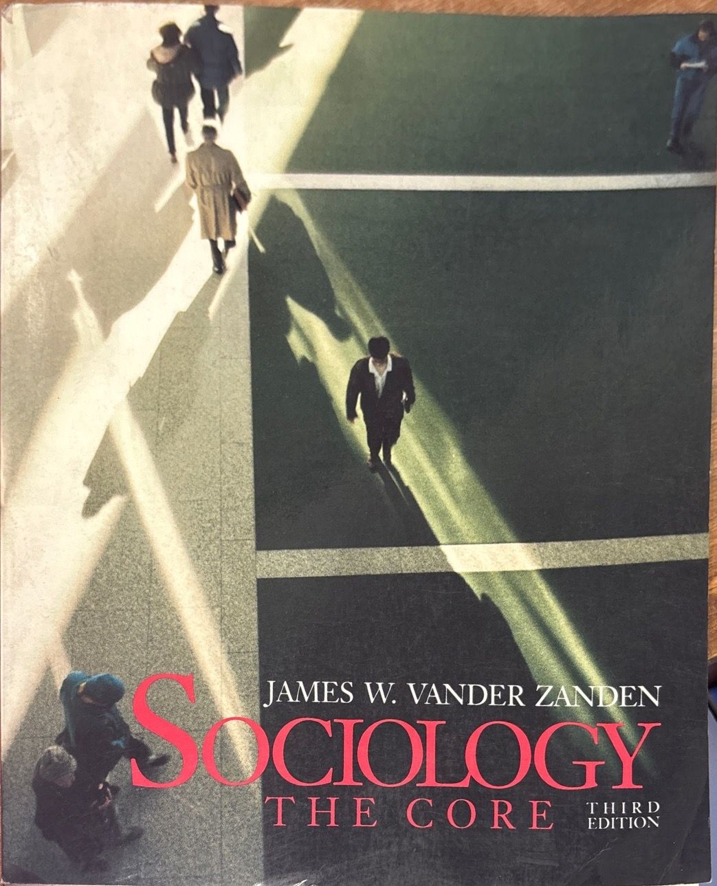 Sociology the core