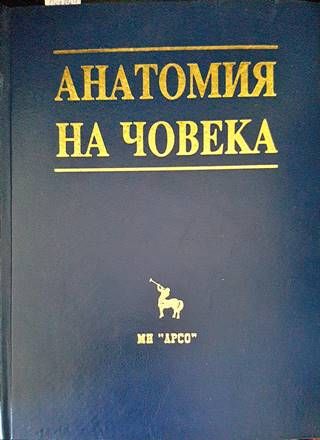 Анатомия на човека
