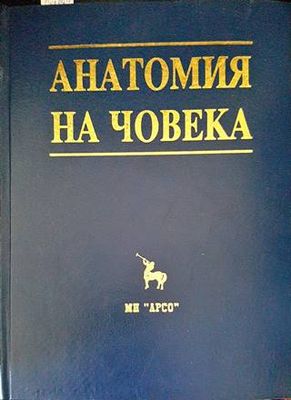 Анатомия на човека