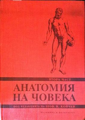 Анатомия на човека. Част 2