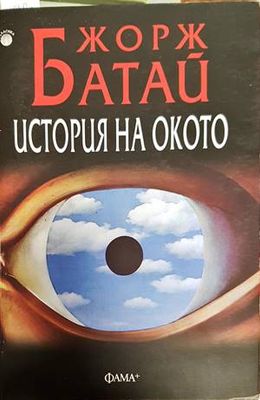 История на окото
