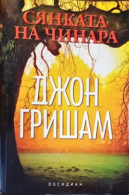 Сянката на чинара