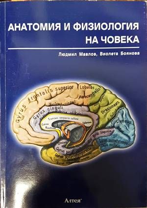 Анатомия и физиология на човека Анатомия и физиология на човека