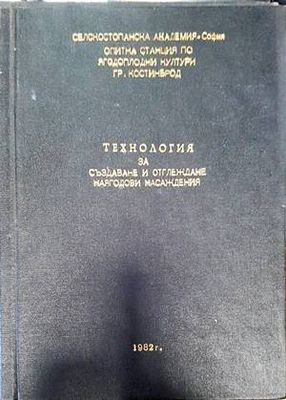 Технология за създаване и отглеждане на ягодови насаждения
