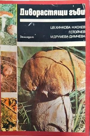 Диворастящи гъби