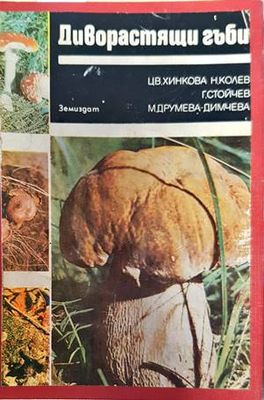 Диворастящи гъби