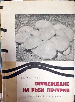 Отглеждане на гъби печурки