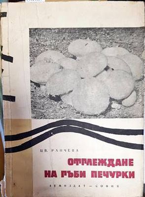 Отглеждане на гъби печурки