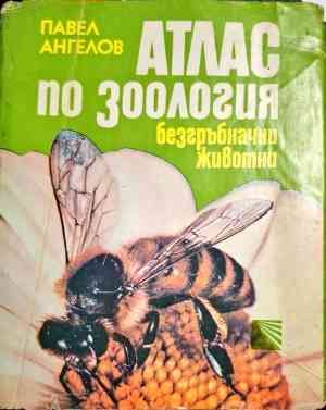 Атлас по зоология: Безгръбначни животни