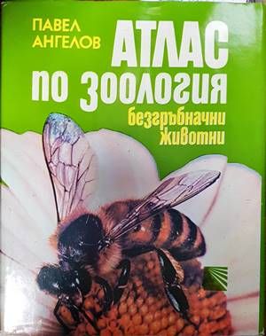 Атлас по зоология: Безгръбначни животни