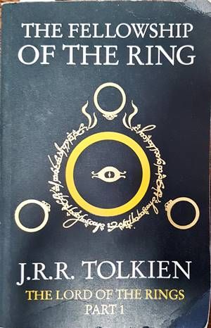 The fellowship of the ring