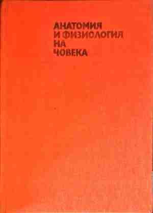 Анатомия и физиология на човека Анатомия и физиология на човека