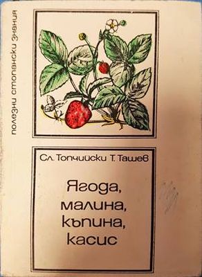 Ягода, малина, къпина, касис