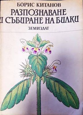 Разпознаване и събиране на билки